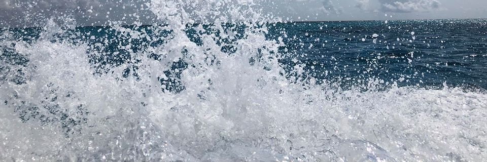 Xavier_Inc's profile banner image