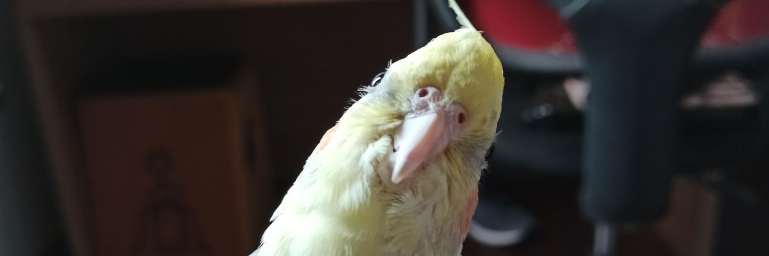 pedraooooooo's profile banner image