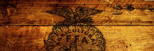 Maize High FFA banner