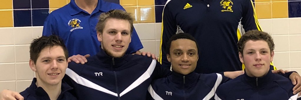 Riley Wildcat Sports banner