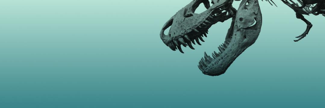 DeborahSecular's profile banner image