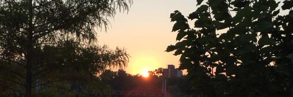 my_thinkbiglife Profile Banner