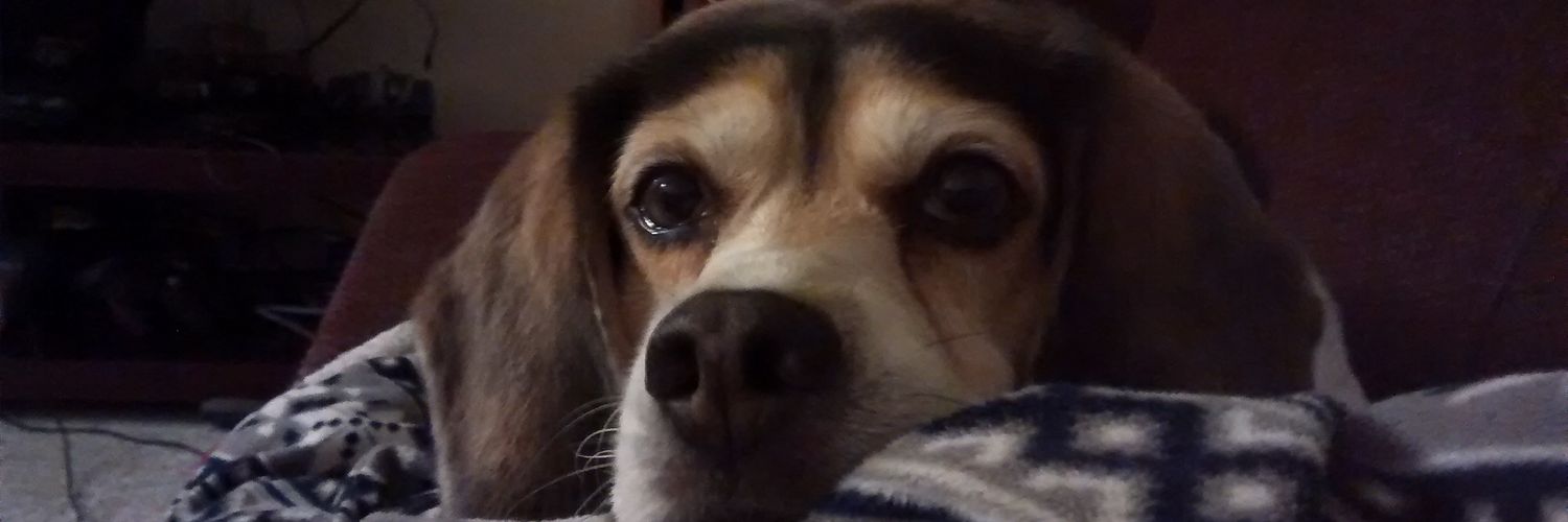 ashleykf's profile banner image