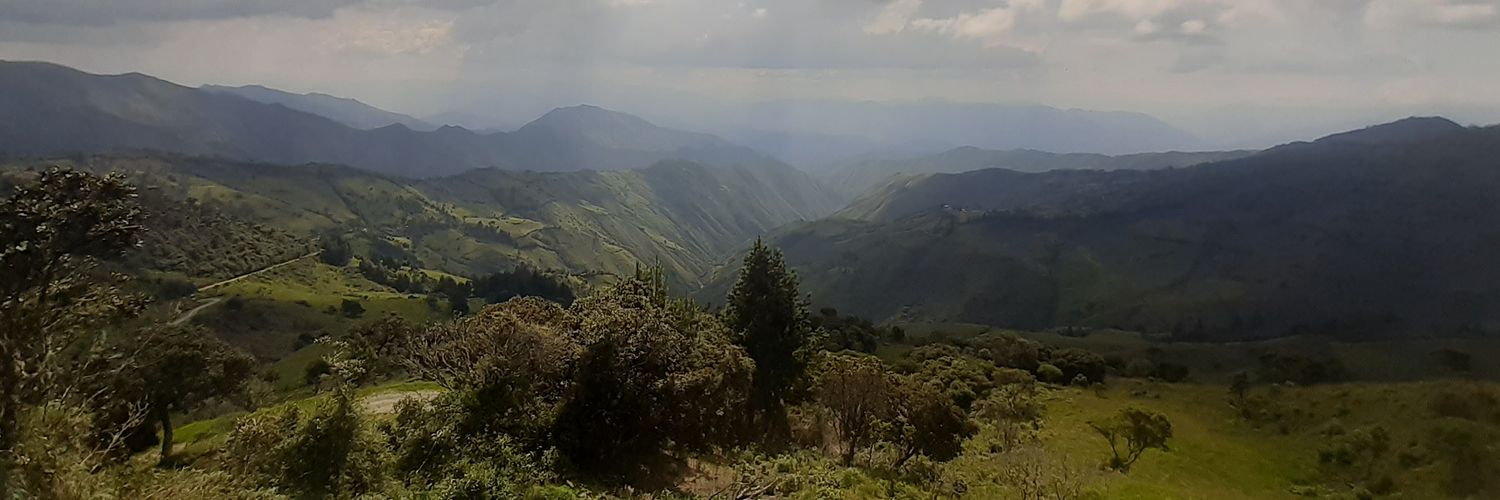 leoaarias's profile banner image