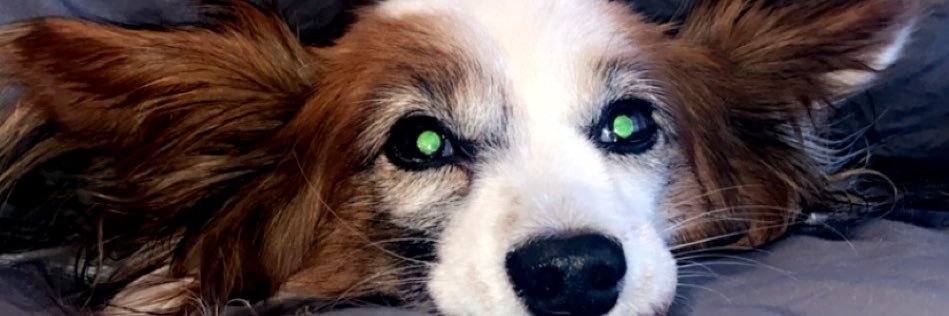 auderss's profile banner image