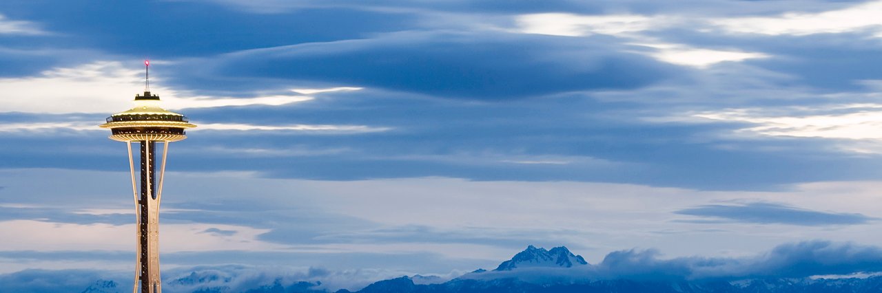 Michael Fraser banner