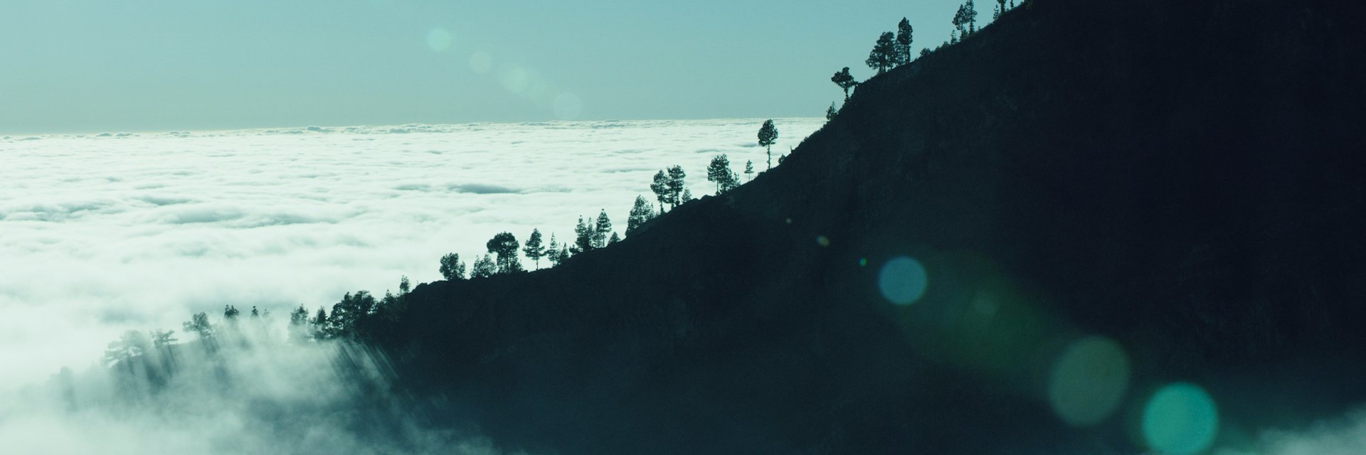 BeeAerial's profile banner image