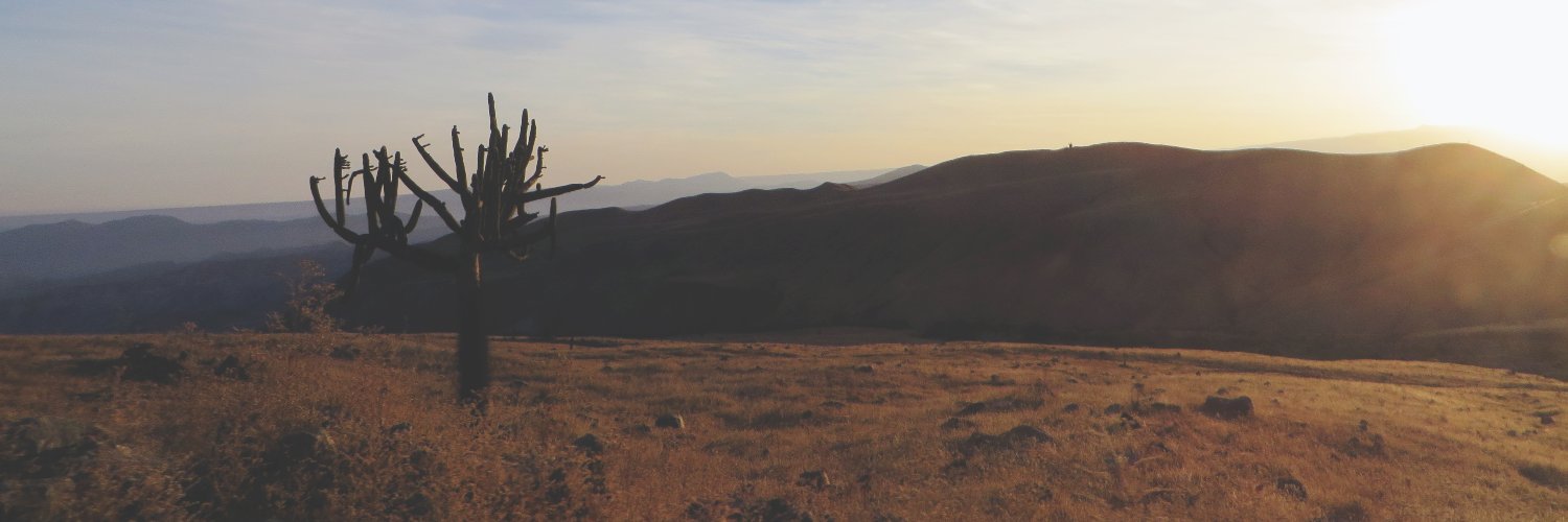 rjaemy's profile banner image