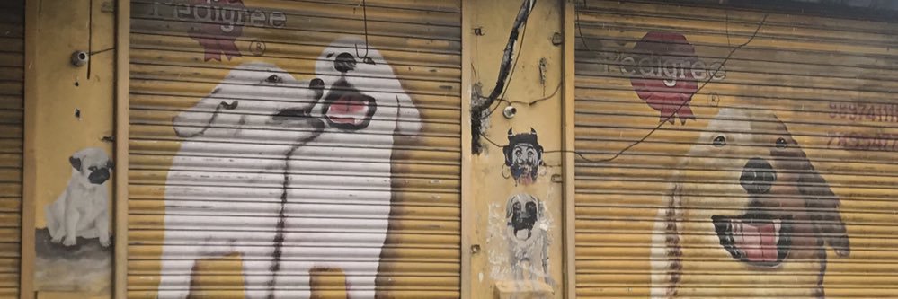 smooreoh's profile banner image