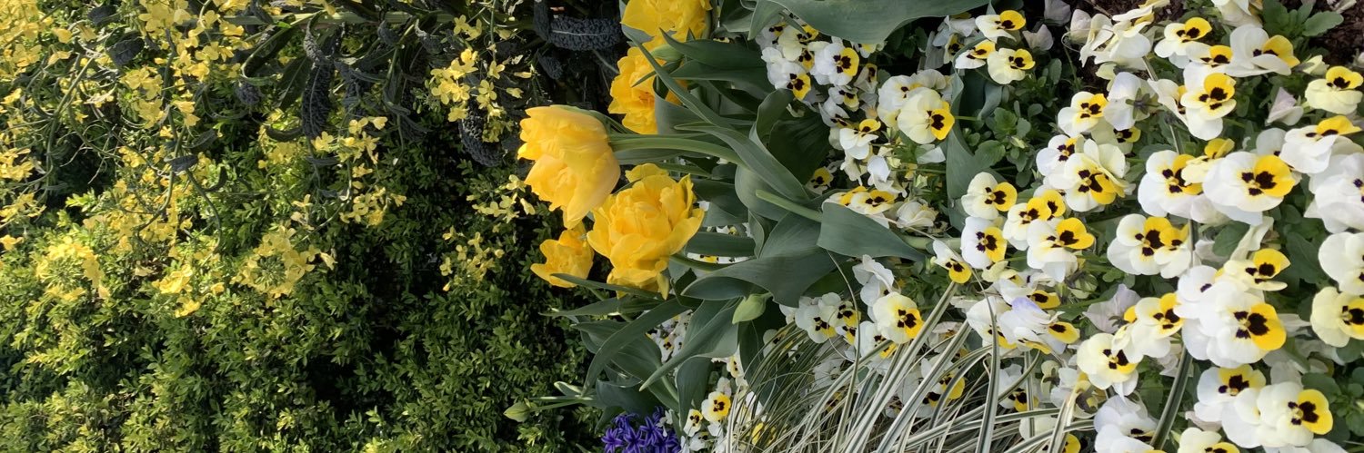Thxsmom's profile banner image