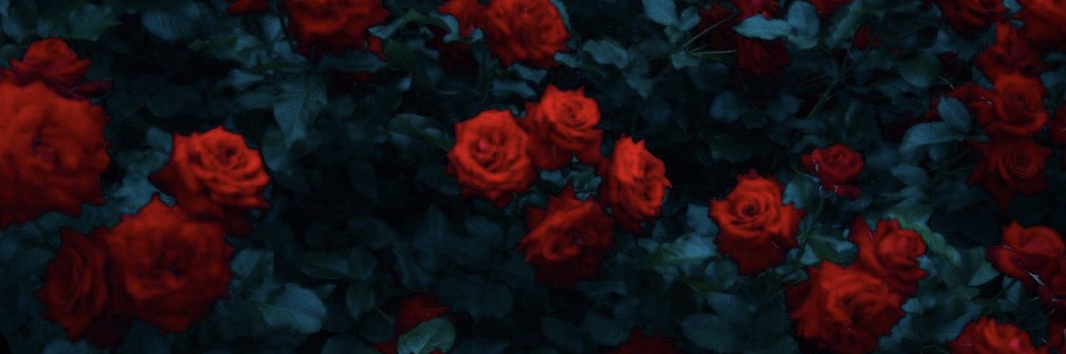 Soniarr12's profile banner image