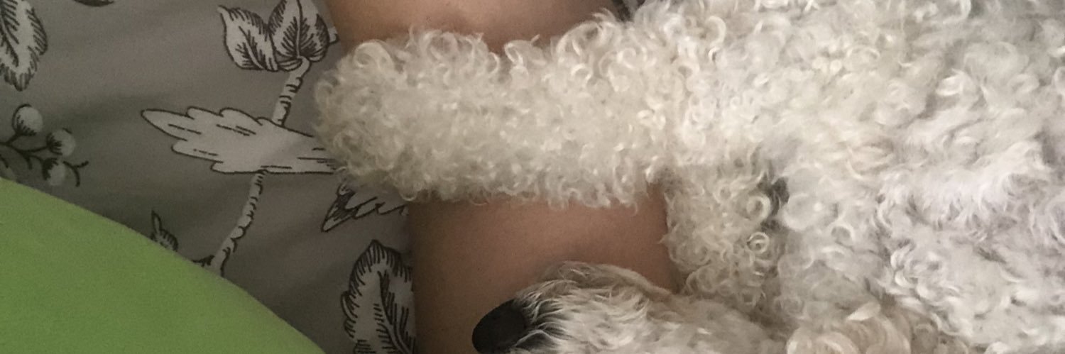 ohmikaah's profile banner image