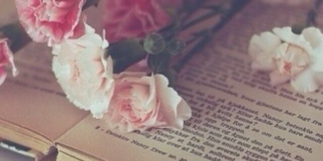 Puck_xoxo's profile banner image