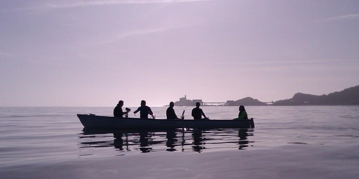 Danielle Milliner banner