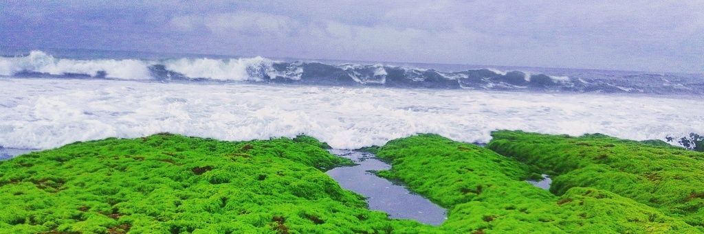 Yℴℊ𝒾 S𝓊𝓉𝒶𝓃𝒹𝒾 banner