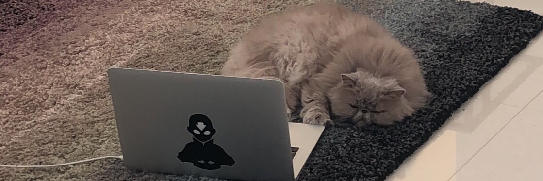 minohil's profile banner image