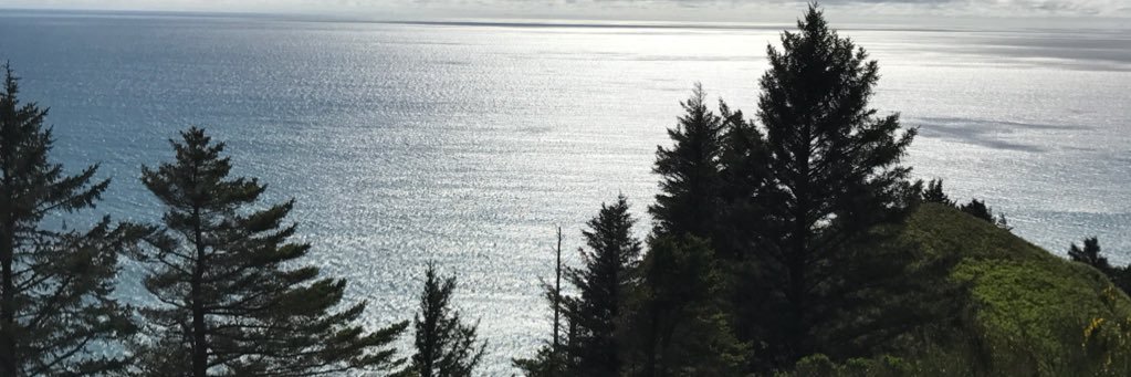 cianabree's profile banner image