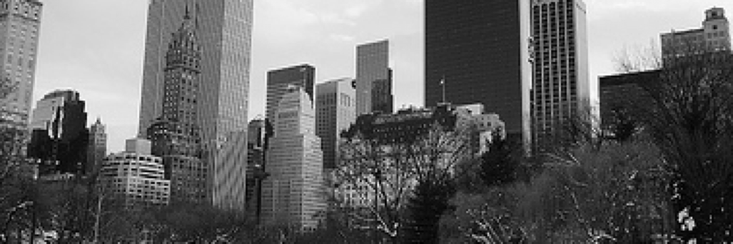 RogerChiocchi's profile banner image