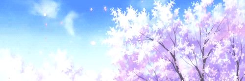 wtevramanda's profile banner image