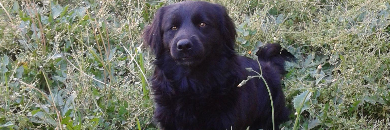 santicupe's profile banner image