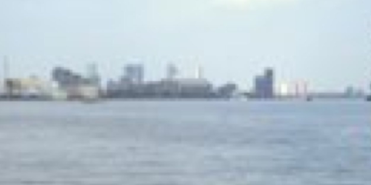 martineschiff's profile banner image