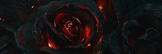 AngelusTenebrae's profile banner image