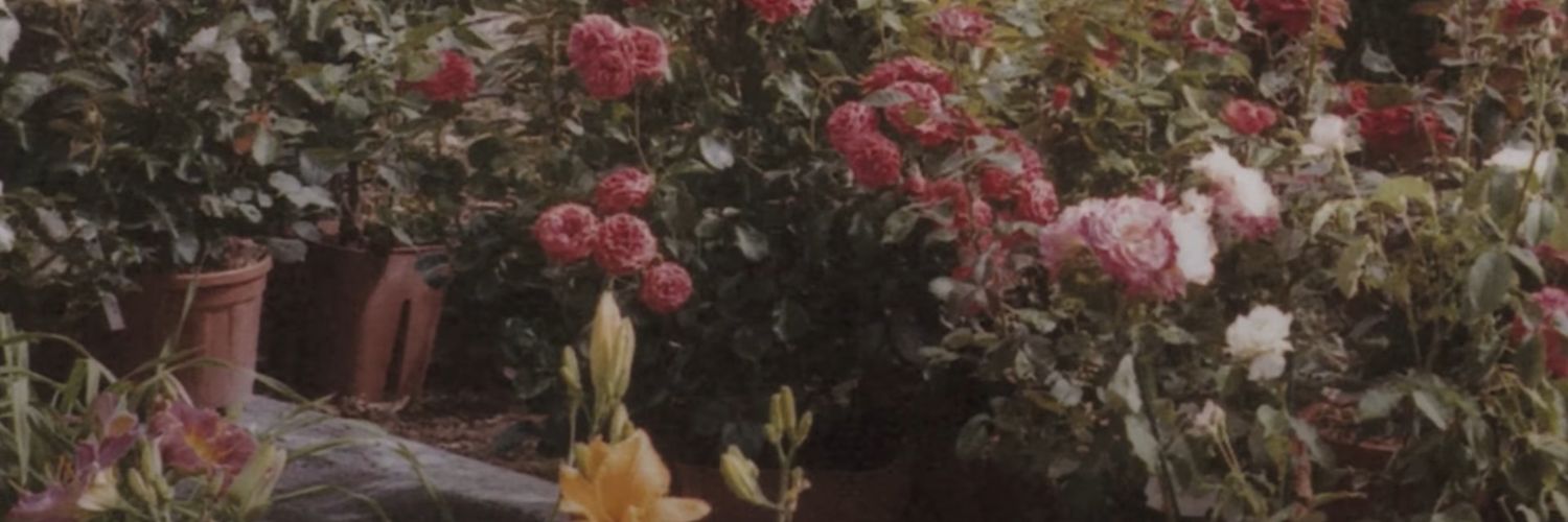 midnightchanges's profile banner image