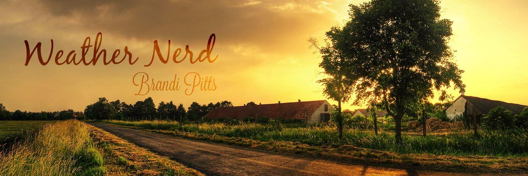 MrsBrandiPitts's profile banner image