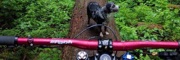 chester_p_c Profile Banner