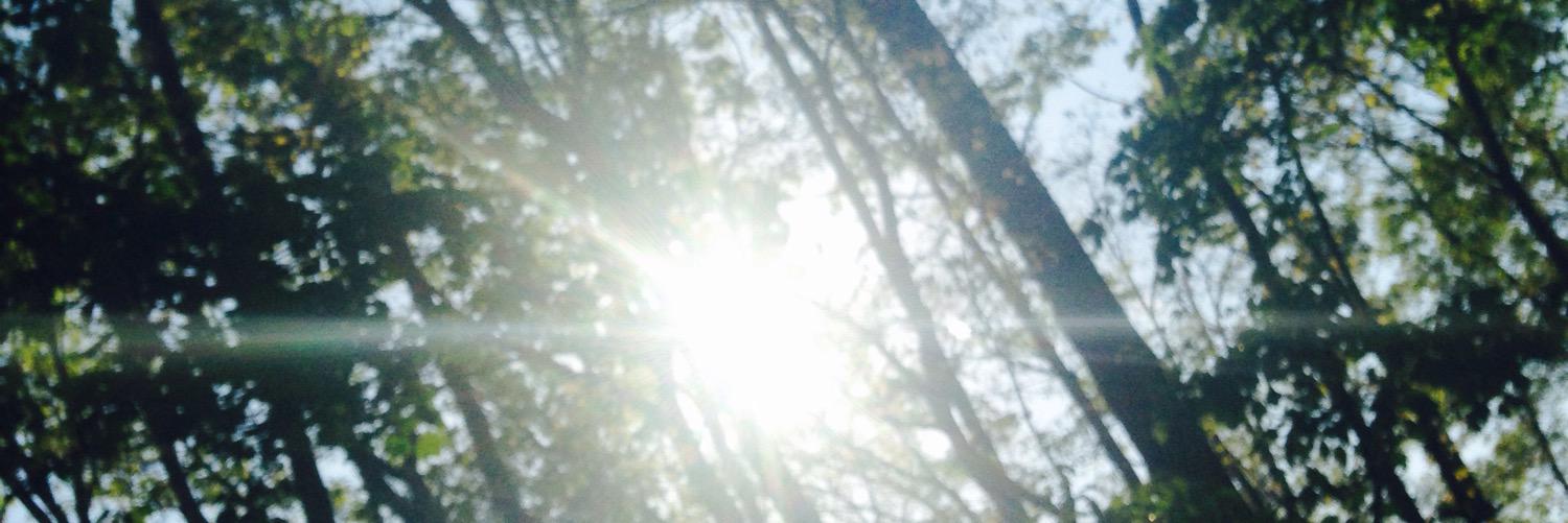 EvaMoreBeutiful's profile banner image