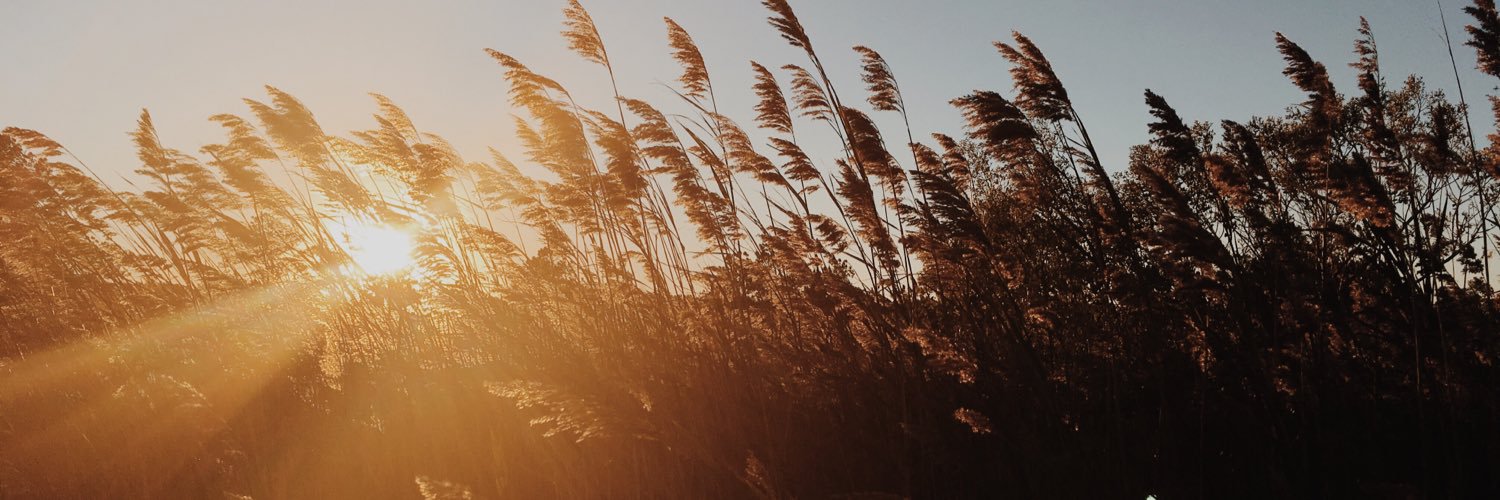 lourie_grace's profile banner image