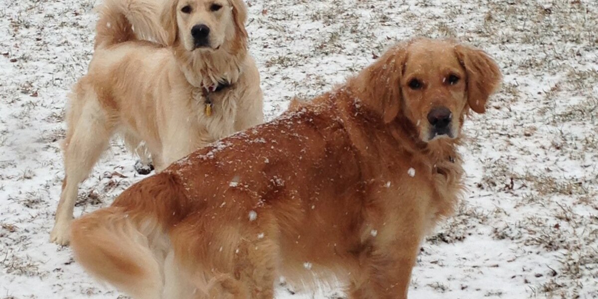 Tri2Golden's profile banner image
