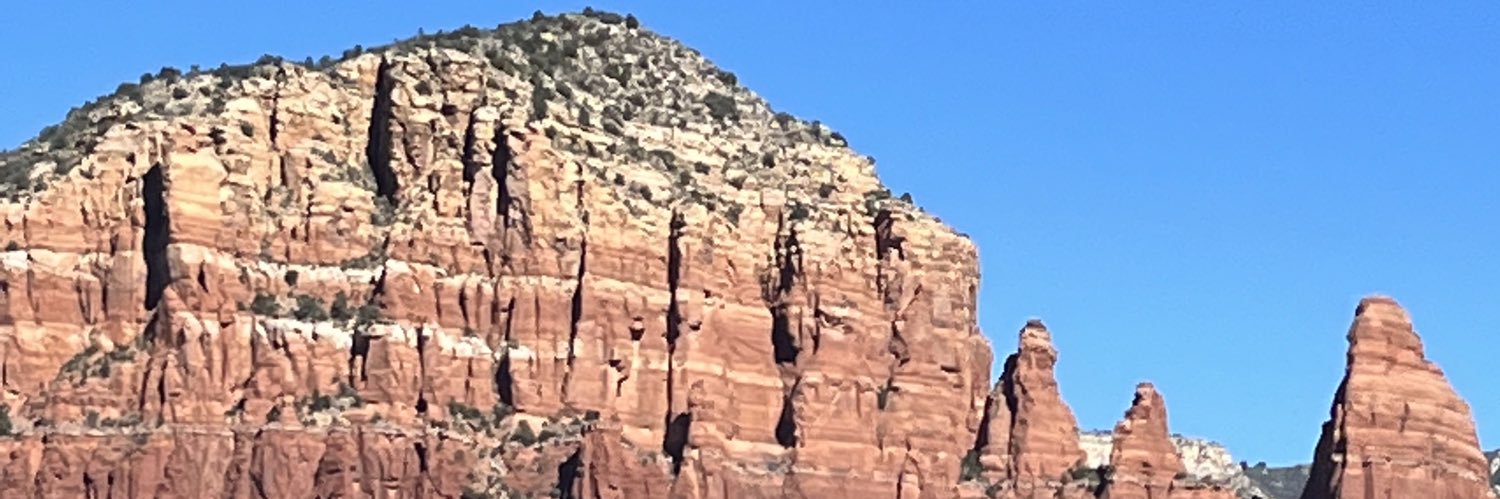 Sandy Scheele banner