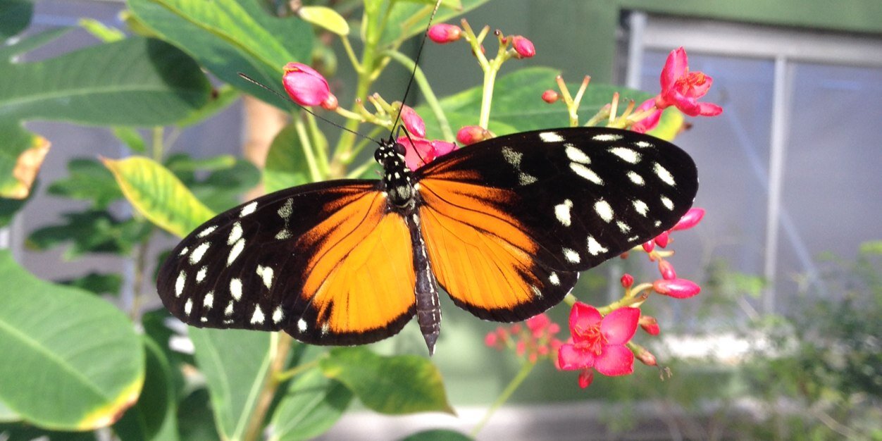 Heather B Tadlock banner