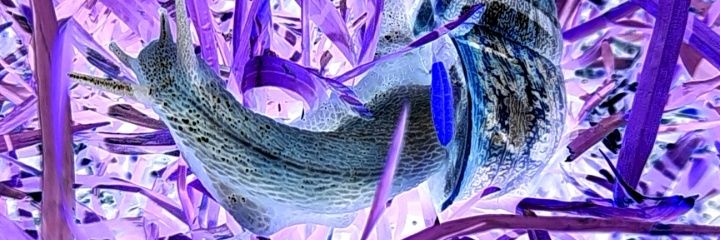 andresaca's profile banner image