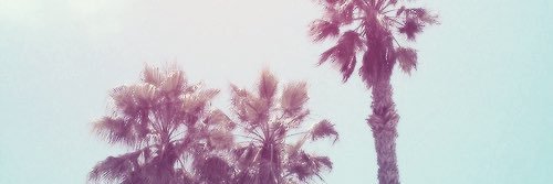 EvanAGuidry's profile banner image