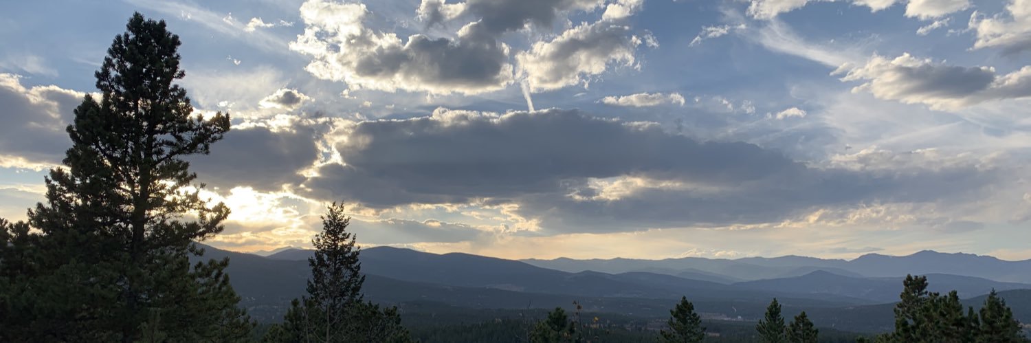 shelberhardt's profile banner image