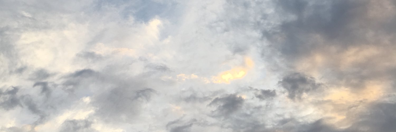MitchellJeffre1's profile banner image