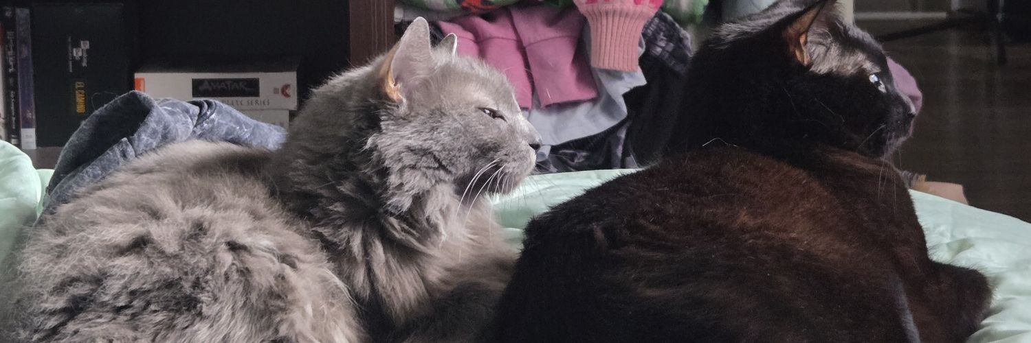 ProfButtercup's profile banner image
