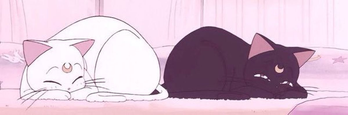 hufflescoop's profile banner image