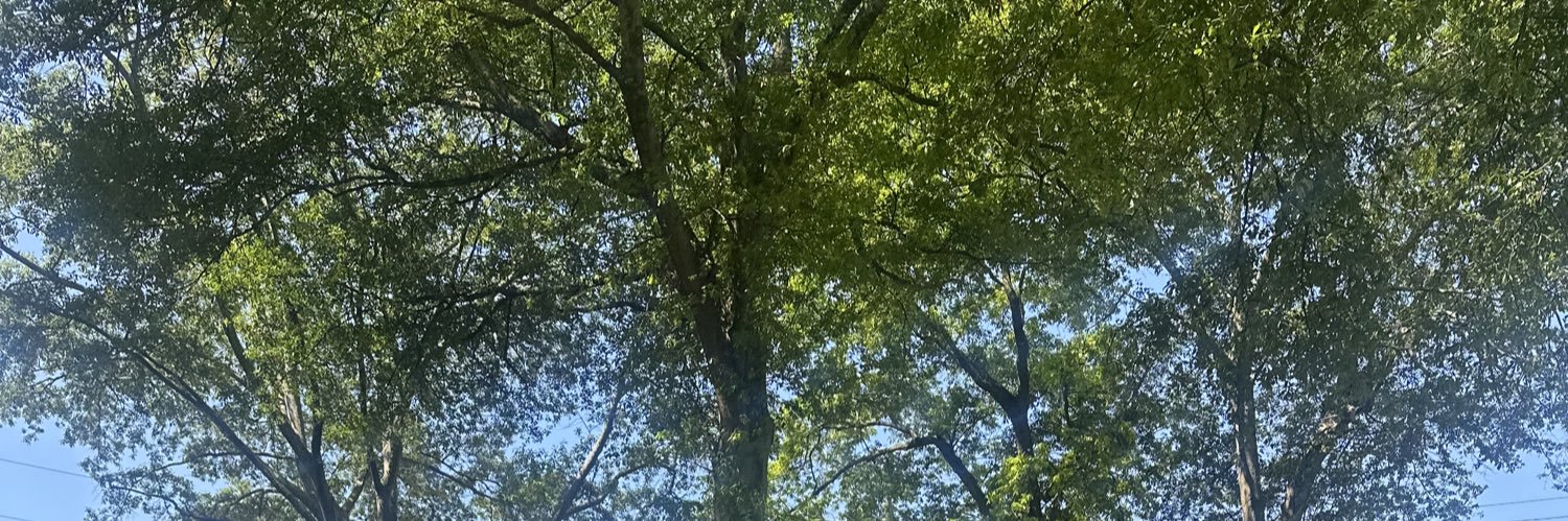 ItsJustTravis's profile banner image