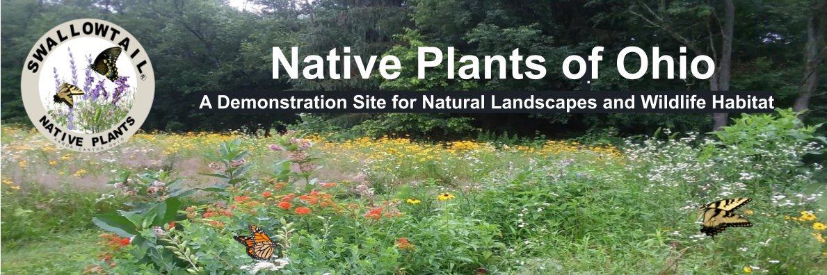 OhioPlants's profile banner image