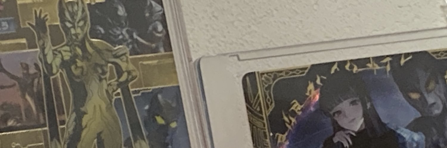 gunsenkei's profile banner image