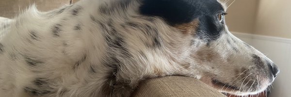 WarheadCM Profile Banner