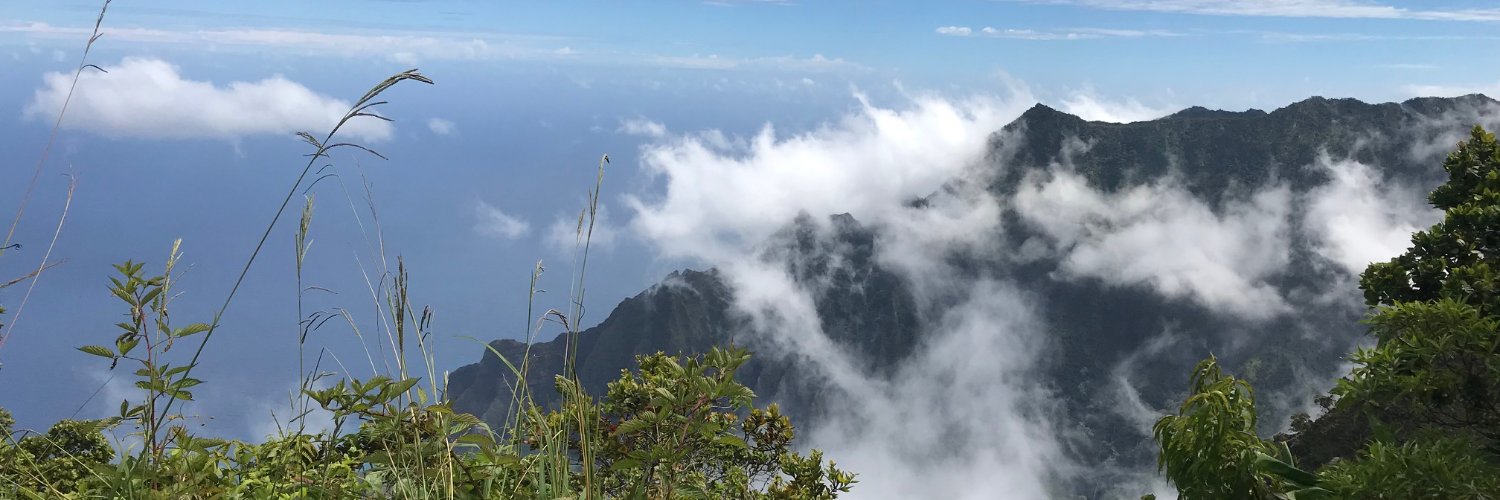 Bonnie Traymore banner