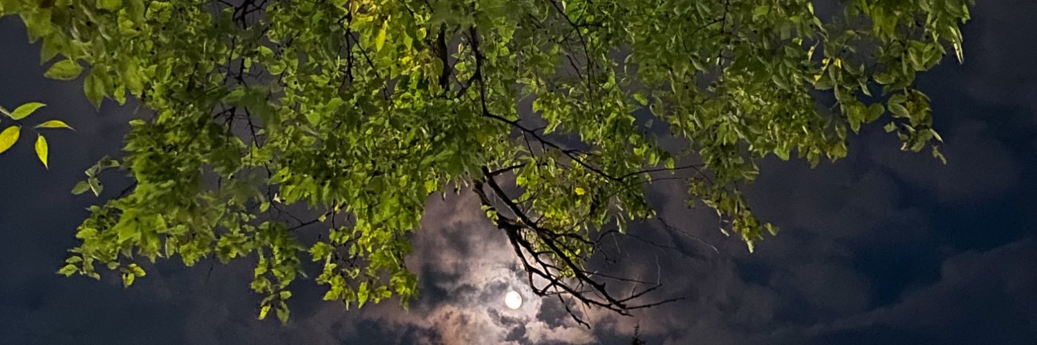 Dzv7x's profile banner image