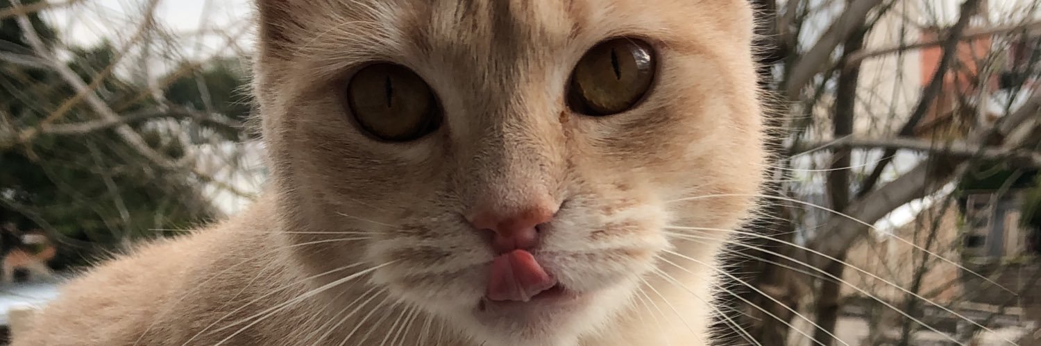 Pastelishho's profile banner image