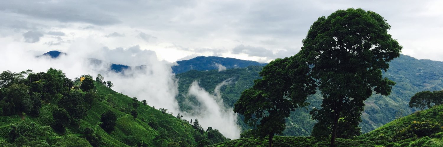 robertacharya's profile banner image