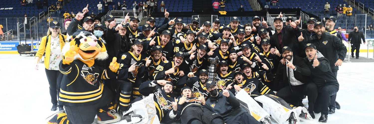 Shawn Element banner