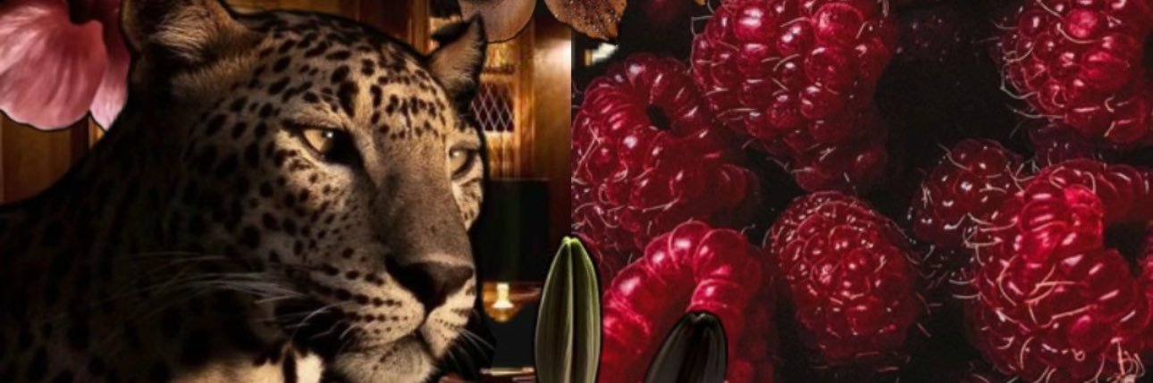 kyagrxce's profile banner image